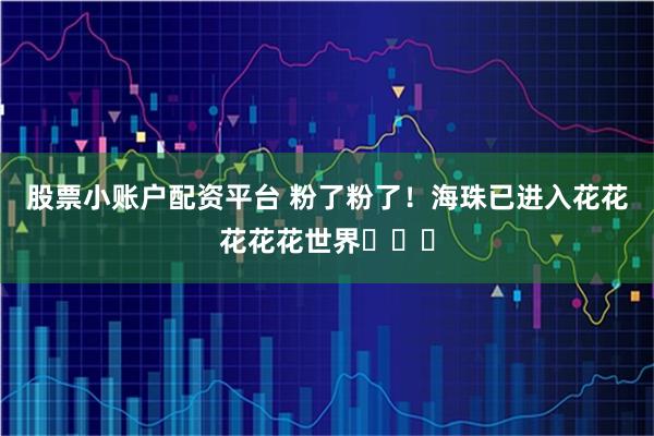 股票小账户配资平台 粉了粉了!海珠已进入花花花花花世界ꕥꕥꕥ